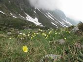 24 La bellissima valle
